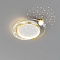 F-Promo 4743-5C