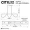 Светильник Citilux CL220123